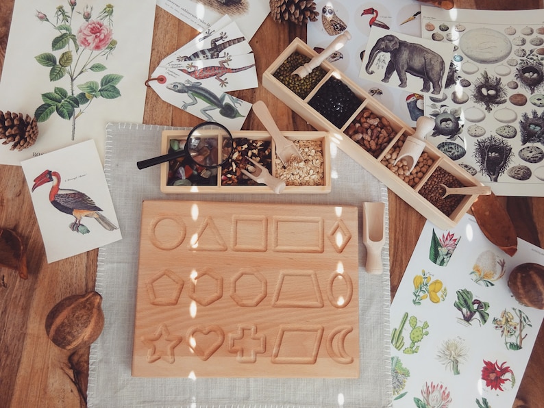 May include: A wooden tray with various shapes carved into it, including a circle, triangle, square, diamond, pentagon, hexagon, trapezoid, oval, star, heart, cross, parallelogram, and crescent moon. The tray is surrounded by other Montessori learning materials, including a wooden box with compartments filled with different types of beans and grains, a magnifying glass, and various botanical illustrations.