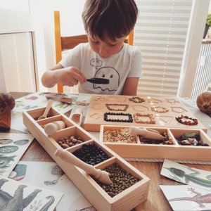 May include: A wooden tray with five compartments filled with different types of beans, seeds, and small stones. A child is using a magnifying glass to examine the contents of the tray.