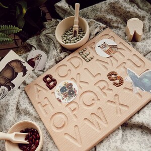 Letras de madera / Letras Montessori / Tablero ABC montessori / Material de aprendizaje Montessori / Juegos Montessori / Actividades Montessori