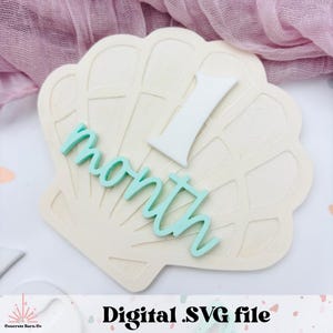 Unter dem Meer monatliche Meilensteine - SVG digitale Datei - Fotorequisiten - Meerjungfrau Muscheln