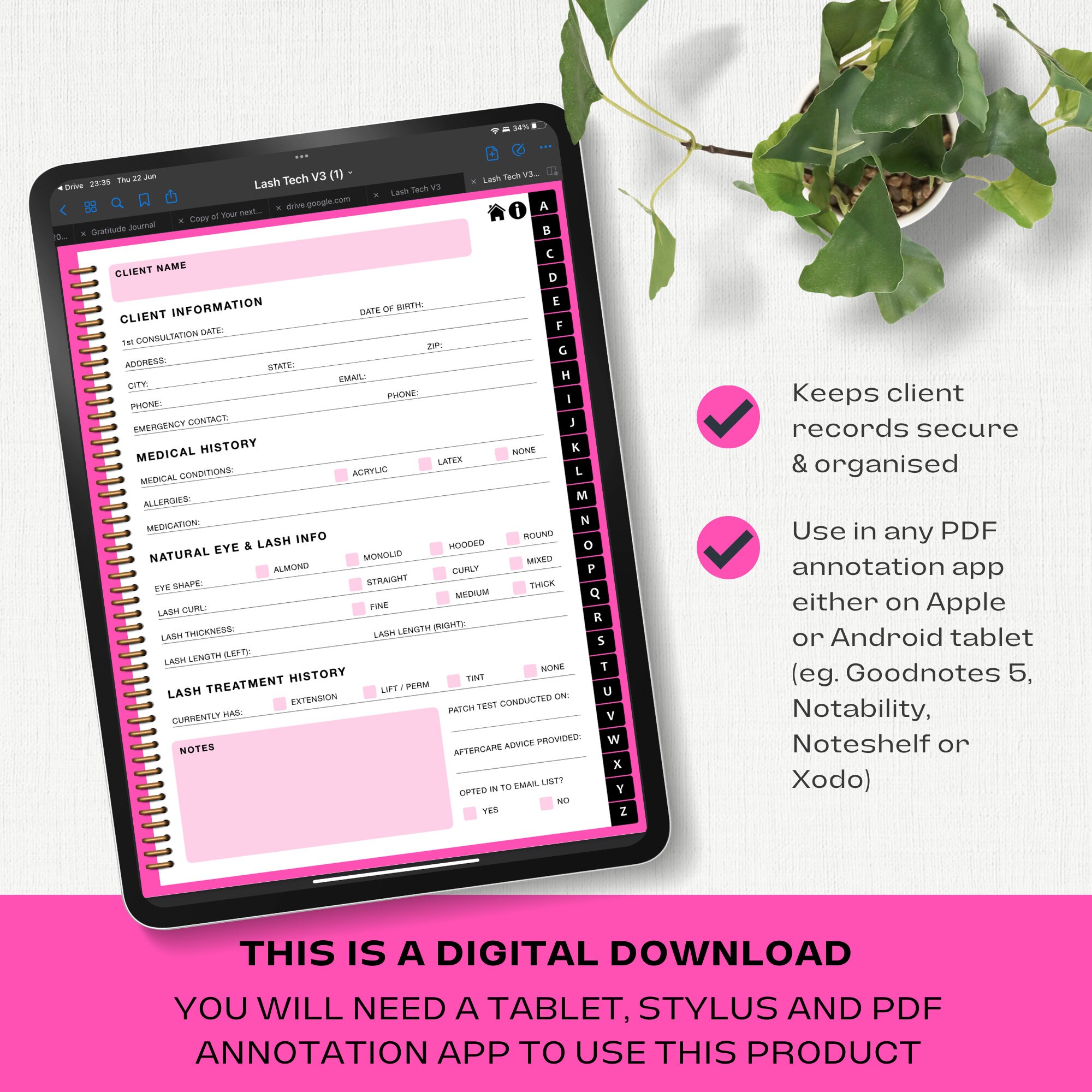 Lash Tech Client Record Book, Digital Template for Goodnotes Notability ...