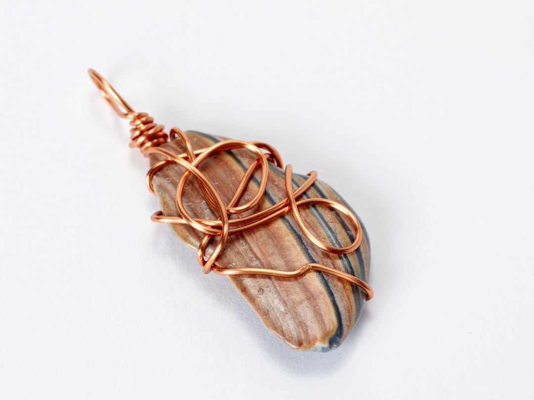 Wire Wrapped Shell Sea Shell Pendant Wire Wrapped in Copper, Pendant of Natural Sea Shell ...