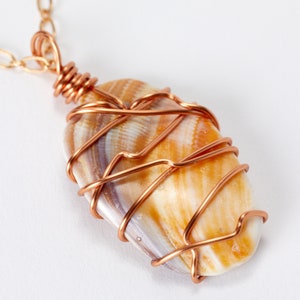 Wire Wrapped Sea Shell Pendant Necklace - Gold Plated Chain