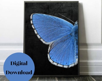 Realistic butterfly digital wall print