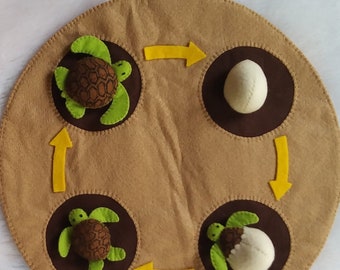 Life Cycle of Turtle, Life Cycle felt Tray, Turtle Felt Board, Felt Play Set Montessori Life Cycle of a Turtle, Turtle Felt Set, Flannel Set