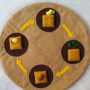 May include: A brown felt circle with four stages of a plant's life cycle. The stages are a seed, a sprout, a plant with leaves, and a plant with fruit. Each stage is represented by a felt cutout with a brown background and yellow stitching. The stages are connected by yellow arrows.