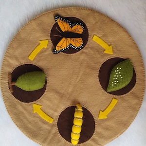 May include: A brown felt circle with four sections showing the life cycle of a butterfly. The sections show a green caterpillar, a yellow chrysalis, a butterfly with orange wings, and a green leaf with white dots.