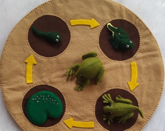 Life Cycle of Frog Felt Board, Frog Life Cycle Set, Science Activity Board, Homeschool Biology Felt, Preschool Science Felt, life cycle set