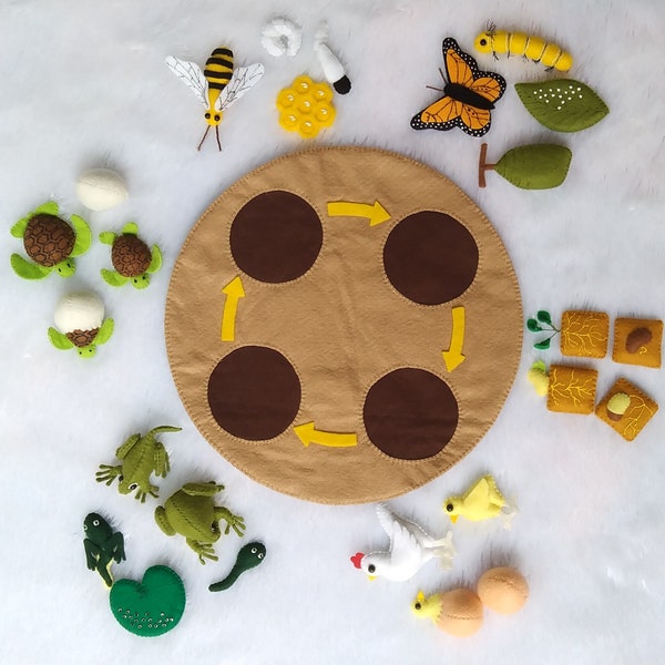 Life Cycle felt board multi set, Six life Cycle, life cycle kindergarten, how do life cycle puzzle, science felt board