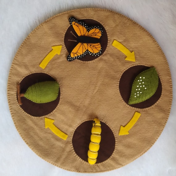 Butterfly Life Cycle Felt Board, Butterfly Life Cycle Set Science Activity Board, Life Cycle of a Monarch Butterfly Learning Kit, Montessori