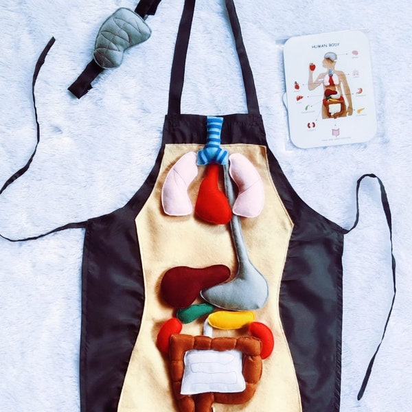 Montessori Anatomy Vest, Personalized human organs apron, Anatomy board, Full set anatomy, Sensory organs set, Felt Activities science