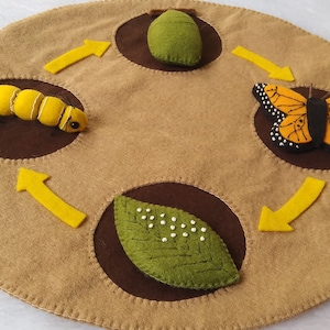 May include: A felt play mat depicting the life cycle of a butterfly. The mat features a green caterpillar, a green chrysalis, a green leaf with white dots, and an orange butterfly with black markings.