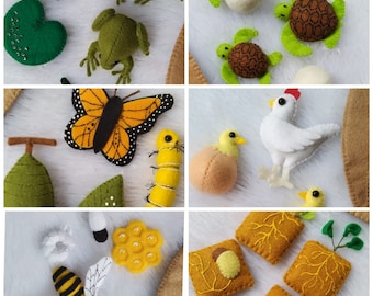Life Cycle felt board multi set, Six life Cycle, life cycle kindergarten, how do life cycle puzzle, science felt board