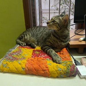 May include: A tabby cat with green eyes is lying on a colorful patchwork quilt. The quilt has a yellow, orange, red, and purple floral pattern.