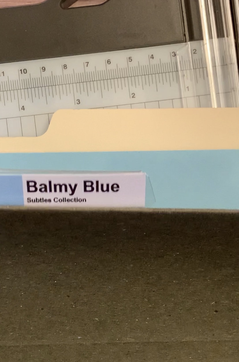 NEW May 2023 Digital Hanging Folder Tab Inserts/labels for Stampin' Up