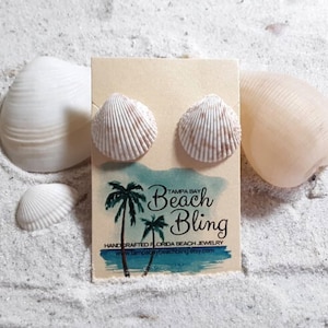 Shell Jewelry | Florida Jewelry | Mermaid Earrings | Medium Shell Earrings | Medium Shell Earrings | Seashell Jewelry | Shell Studs