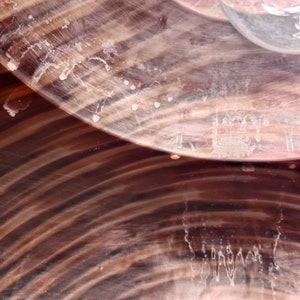 May include: Close-up of a brown and black wooden bowl with a swirling pattern. The bowl has a smooth, polished surface and is slightly weathered.