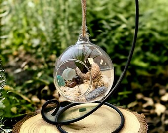 Unleash Your Inner Gardener with Our DIY Hanging Glass Terrarium Kit
