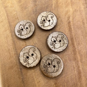 Coconut button squirrel button button