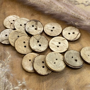 Op de afbeelding: Een verzameling van 12 natuurlijke kokosnootschelpknopen in een lichtbruine kleur met elk twee gaten. De knopen zijn in een halve cirkel op een houten oppervlak gerangschikt.