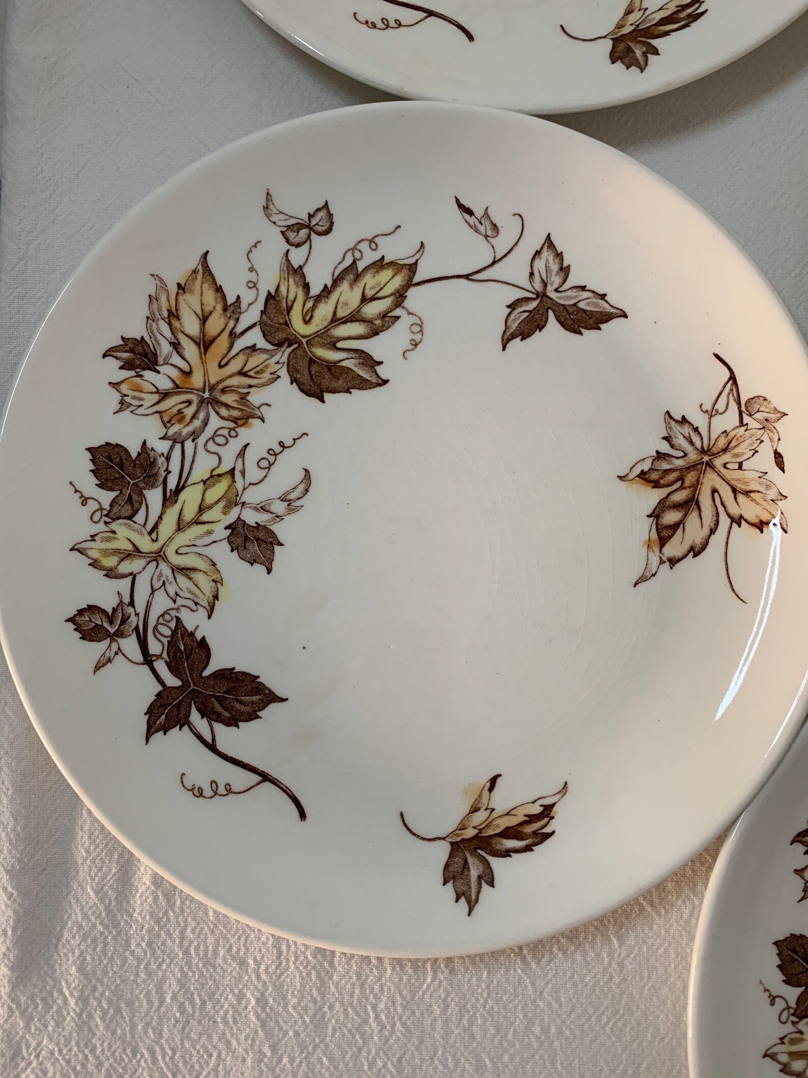Nasco Japan Handpainted mapletone Dinner Plates Etsy