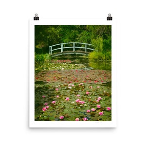 Lilly Pond