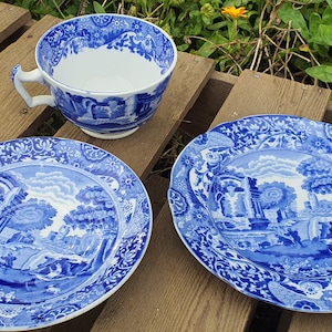 希少 Spode Campanula プレートセット 楽天市場】spode (スポード) 食器 CAMPANULA カンパニュラ ペア