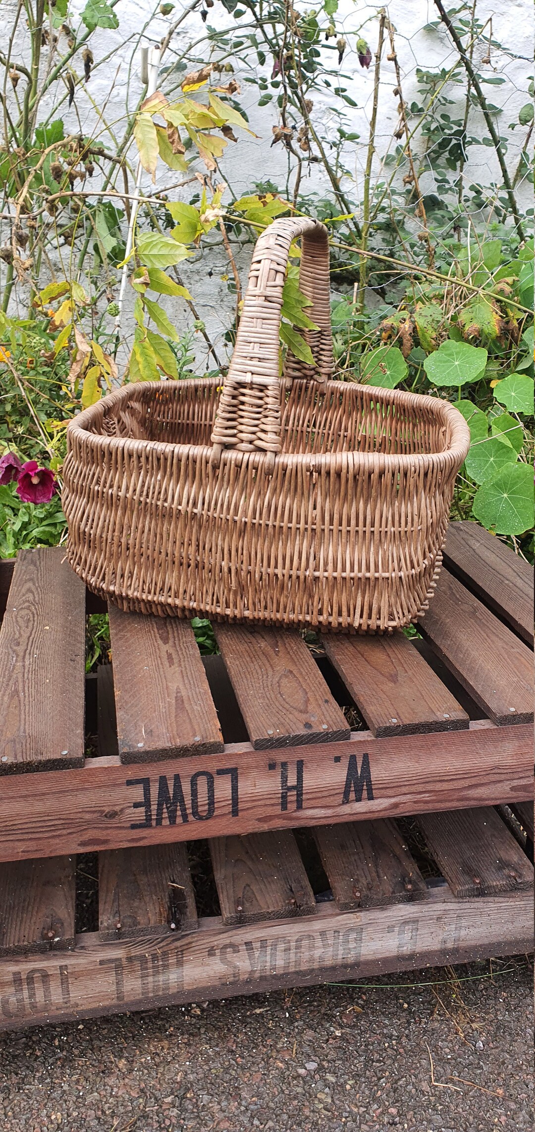 Vintage Wicker Shopping Basket. Good Sturdy Basket. Etsy