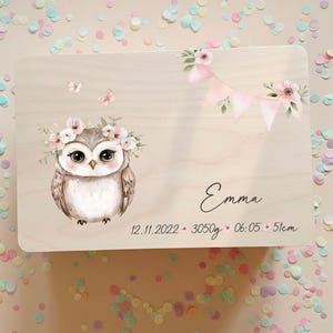 Peut inclure: Plaque en bois clair avec un hibou aquarelle orné d'une couronne florale et de papillons. Le nom "Emma" est écrit en cursive, avec la date, le poids (3050g), l'heure et la taille (51cm). Guirlande de fanions roses avec des fleurs.