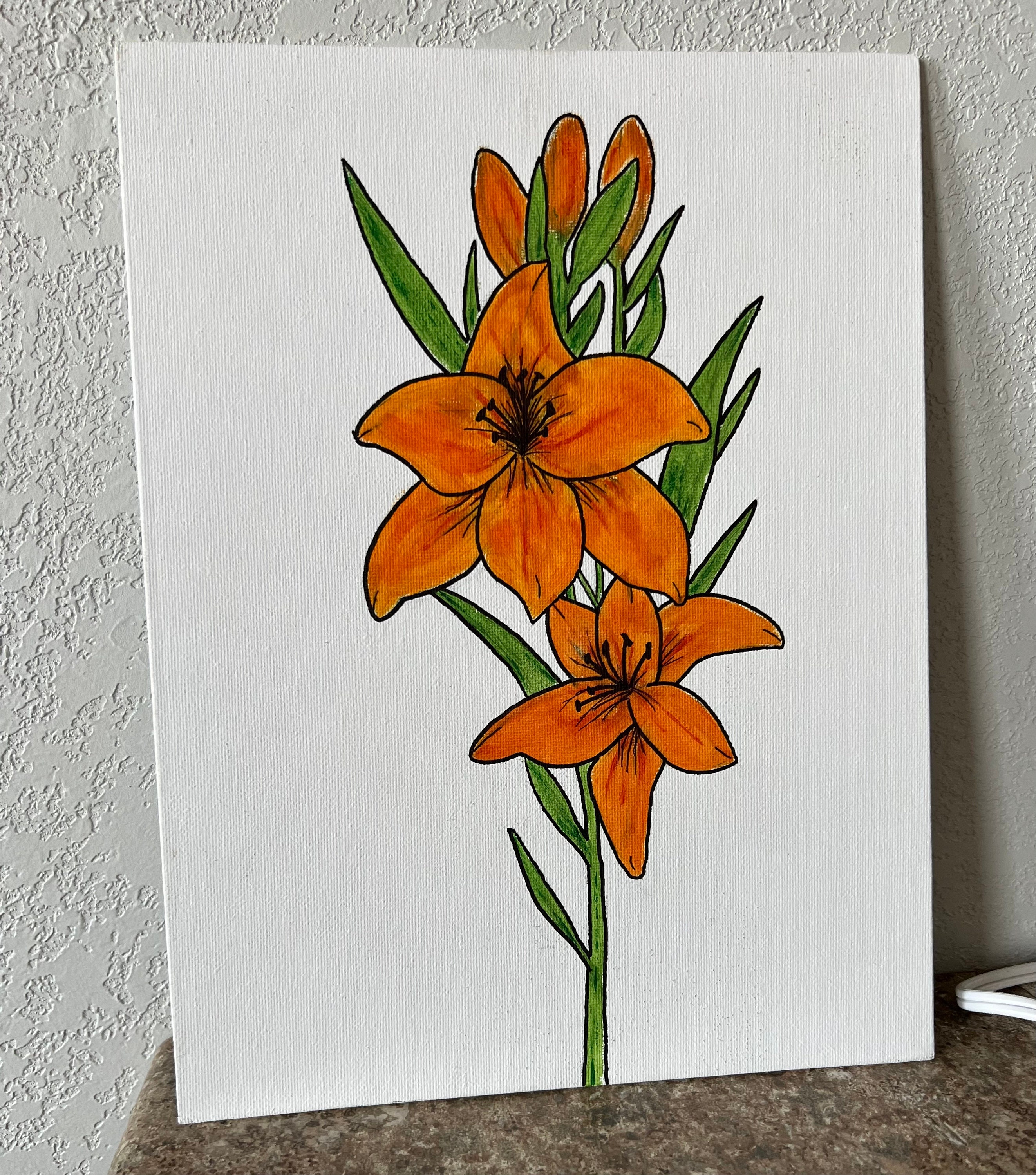Tiger Lily Drawings In Pencil