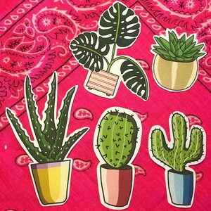 Houseplant &suculento matte sticker pack!