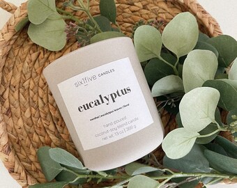Eucalyptus Candle | Coconut Soy Wax Candle | Handmade Candle