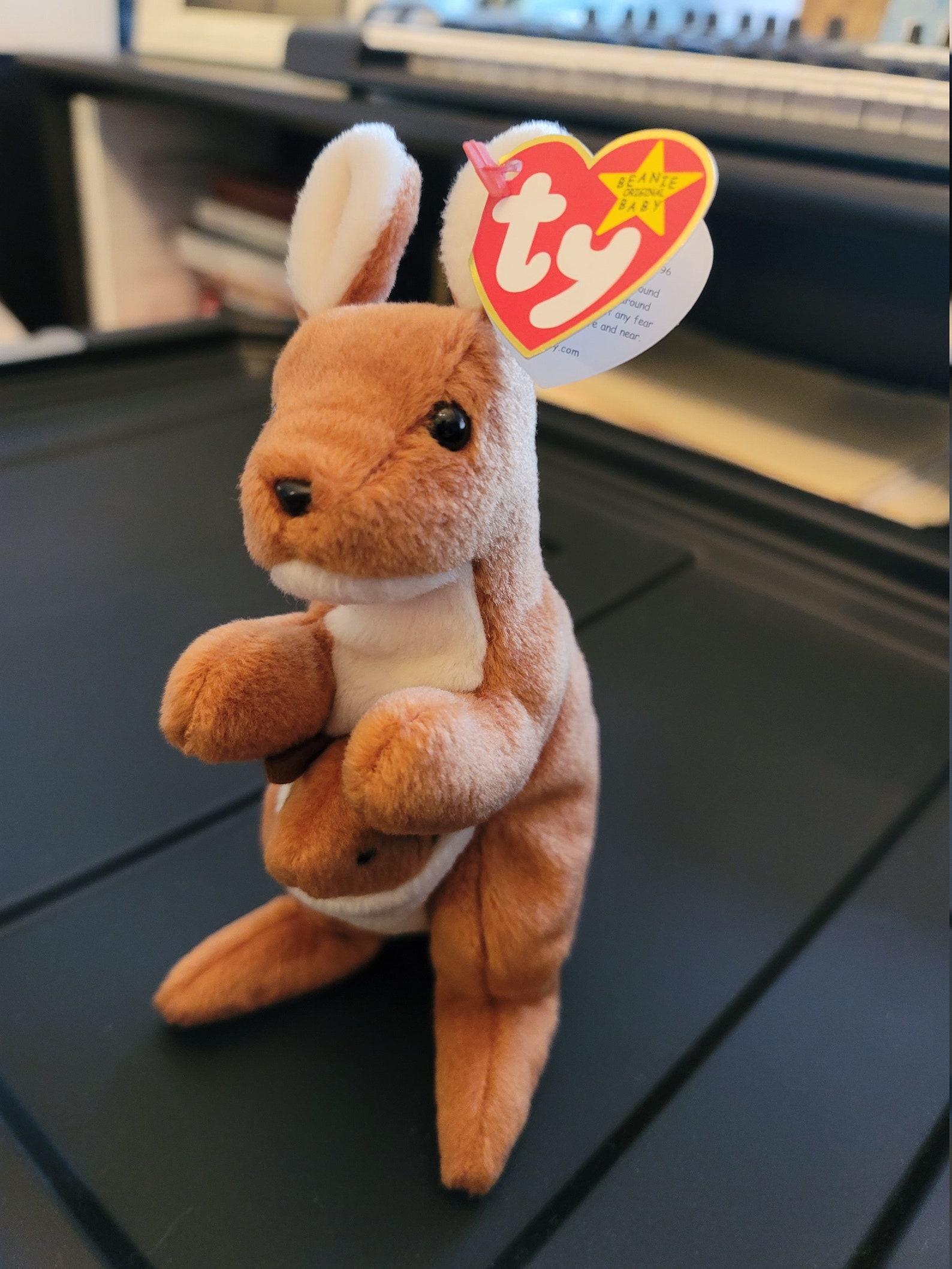 Pouch TY Beanie Baby PVC Etsy