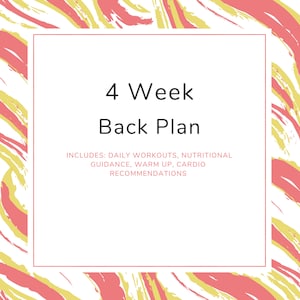 May include: A white background with pink and yellow brushstrokes. A white square with a black border contains the text "4 Week Back Plan" and the text "INCLUDES: DAILY WORKOUTS, NUTRITIONAL GUIDANCE, WARM UP, CARDIO RECOMMENDATIONS".