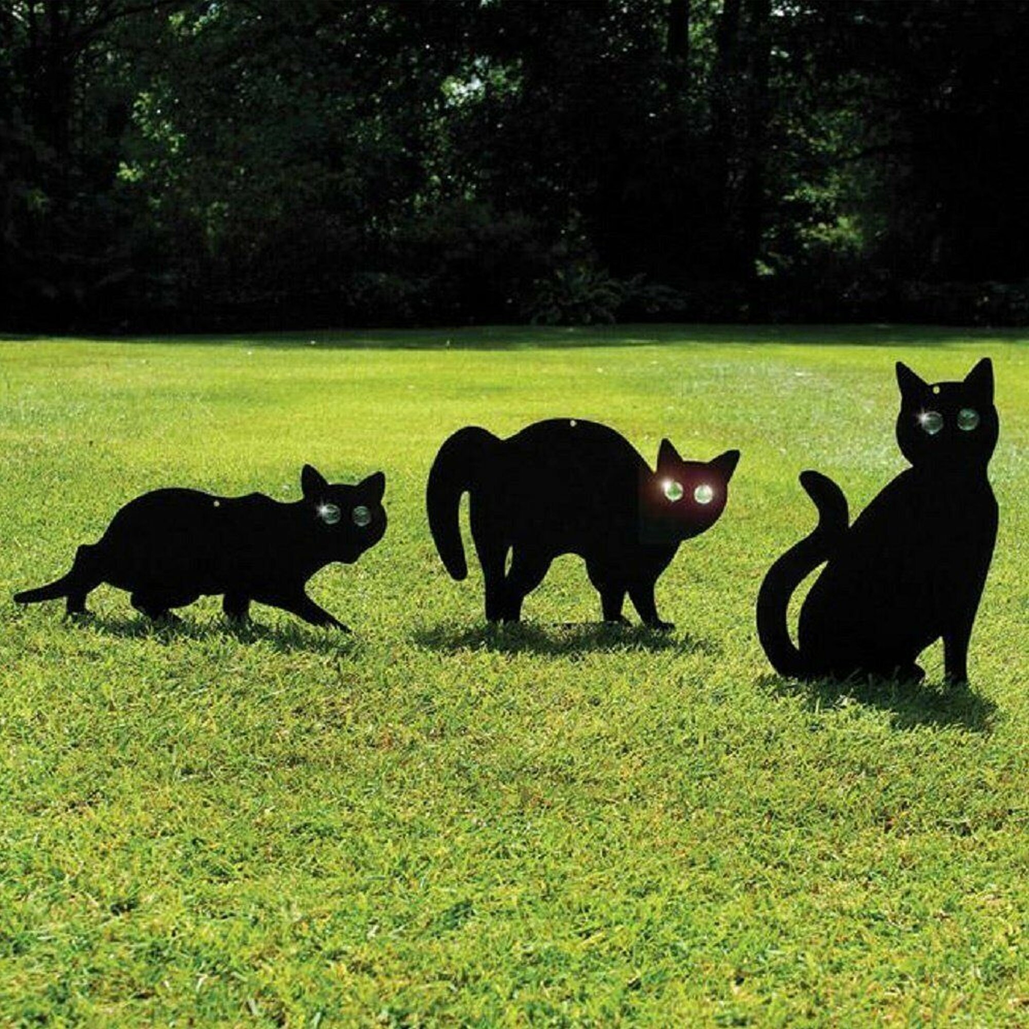 3Pc Scare Cat Garden Cat Scarer Stop Pest Control Deterrent Etsy