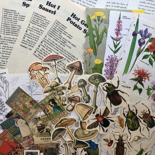 Fairycore Paper Pack Scrapbook Vintage Fairy Ephemera Aesthetic Art Prints Cottagecore Junk Journal Supplies Mushroom Pen Pal Kit Fairycore Paper Pack Scrapbook Vintage Fairy Ephemera Aesthetic Art Prints Cottagecore Junk Journal Supplies Mushroom Pen Pal Kit