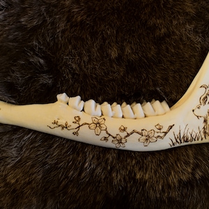 Jackalope Pyrography on Deer Jawbone