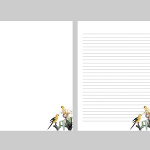 Papeles para escribir cartas de tamaño A4 y 8,5" x 11". Descarga digital 4 archivos PDF. Imagen de aves