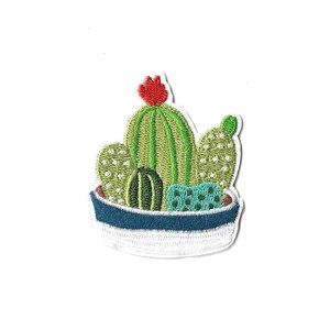 Pode incluir: Um emblema bordado apresentando uma coleção de vários cactos verdes em um vaso branco e azul. O cacto central é alto com nervuras verticais e uma flor vermelha brilhante no topo, cercado por cactos menores, redondos e texturizados em tons de verde.
