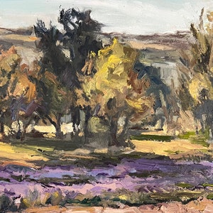 Mountainside Lavender - Dipinto originale a olio su tela - Dipinto en plein air - 9x12 pollici - lunatico, impressionista