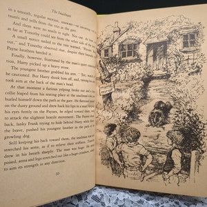 The Snail Man by Brenda Shivers – 1978 Weekly Reader Vintage Chapter Book image 5