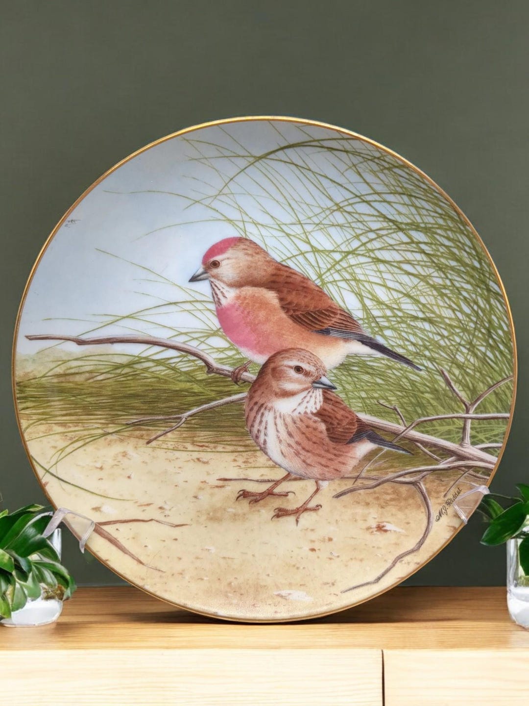 1982 the World's Favorite Songbirds Linnet by Michael James Riddet - Etsy