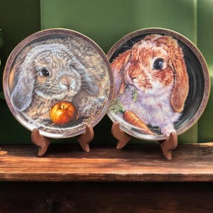 May include: Two decorative ceramic plates featuring close-up images of rabbits. The plate on the left features a gray rabbit holding an apple, while the plate on the right features a brown rabbit holding a carrot. Both plates have a gold rim and are displayed on wooden stands.