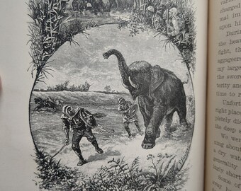 Antique 1884 Schoolbook: 