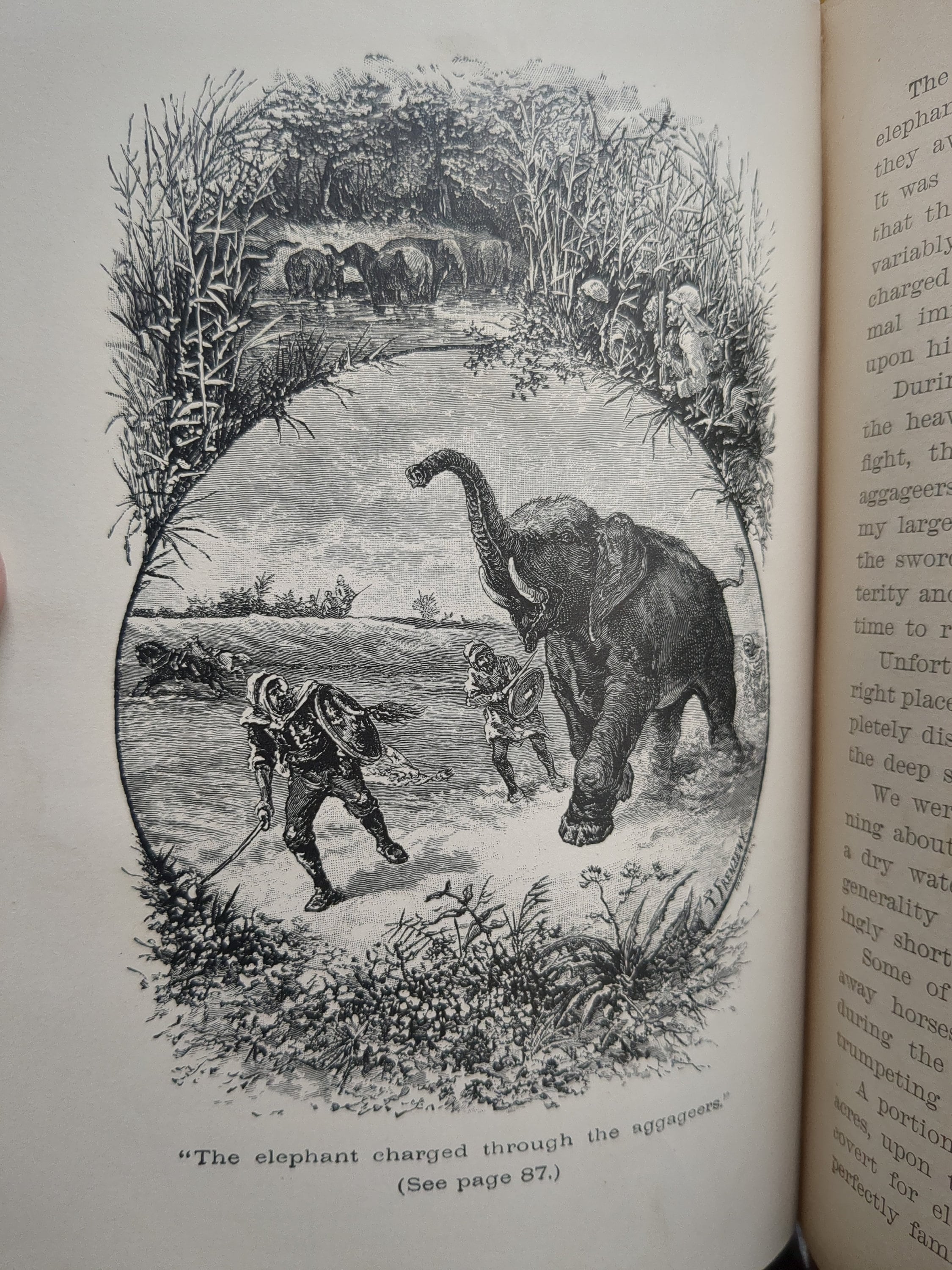 Antique 1884 Schoolbook: 