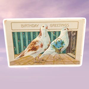 antique 1910s Birthday greetings postcard with pigeons