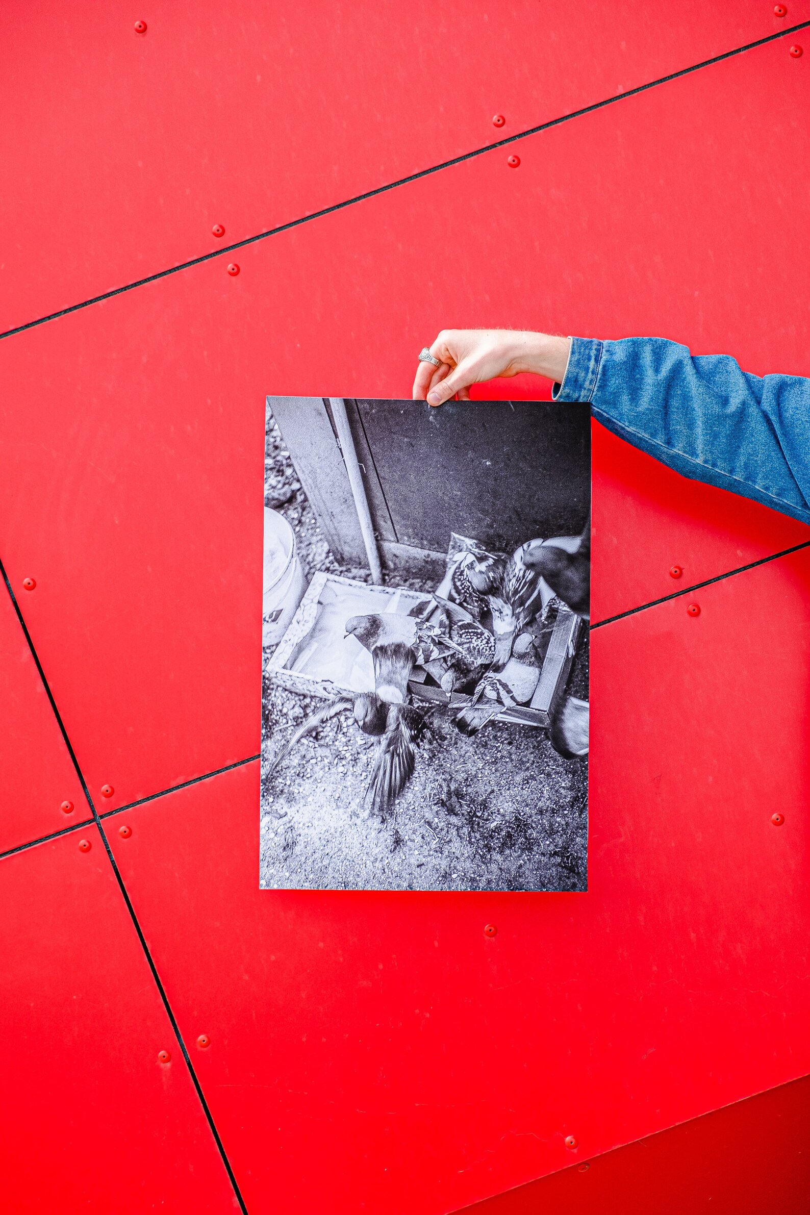 Limited edition b&w analog photography print corner Etsy