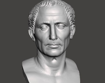 Pode incluir: Um busto de gesso branco de um homem com cabelo curto e uma expressão séria. O busto está sobre um pedestal redondo.