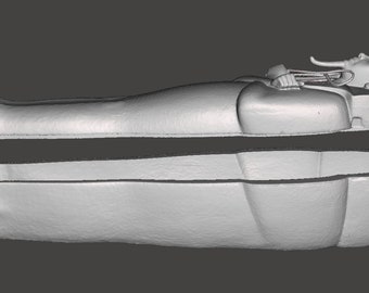 Pharaoh RAMSES II Sarcophagus 3D Printed Egyptian Replica