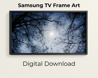 Autumn Moonlight shining through trees Digital Download for Samsung Frame Samsung Art TV Samsung Frame TV Art Instant Download Autumn Moonlight shining through trees Digital Download for Samsung Frame Samsung Art TV Samsung Frame TV Art Instant Download